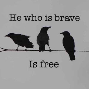 Meet your Posher, Alxkmlr1